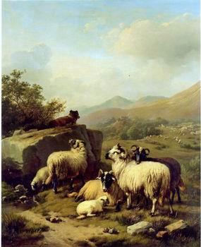 unknow artist Sheep 083 Germany oil painting art